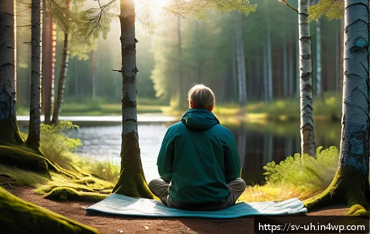 Hur självreconciliation kan bli din hemliga vapnet mot stress och utbrändhet 3 자아 화해와 스트레스 관리의 연결성 관련 이미지 1